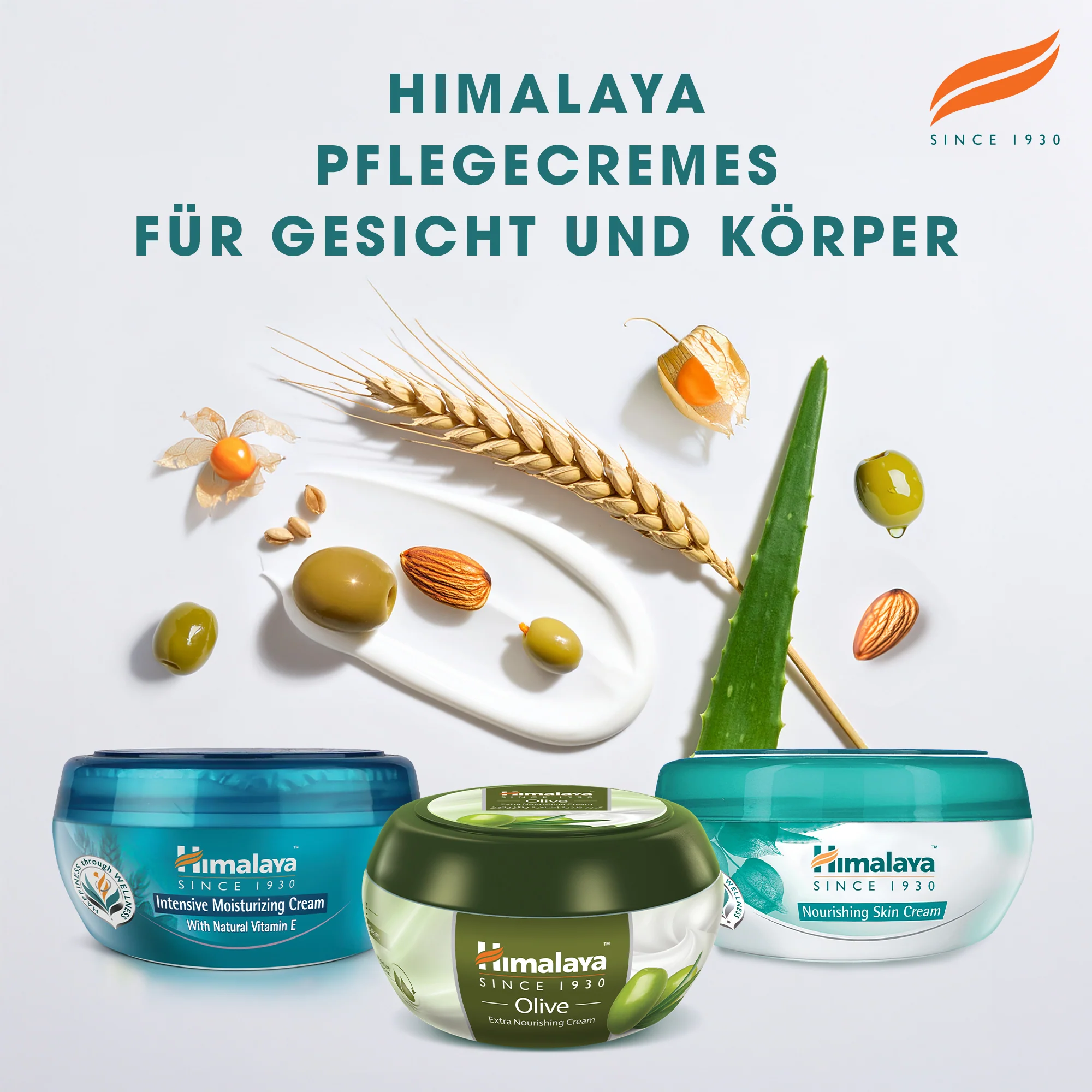 Himalaya Intensiv feuchtigkeitsspendende Creme - Image 6